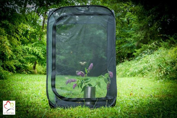 Cage à insectes (Papillon Mante Phasme)- dimension 60cm x 60cm x 90cm