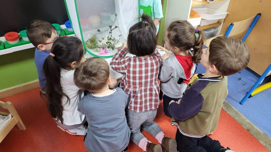 Image #4 de Catherine