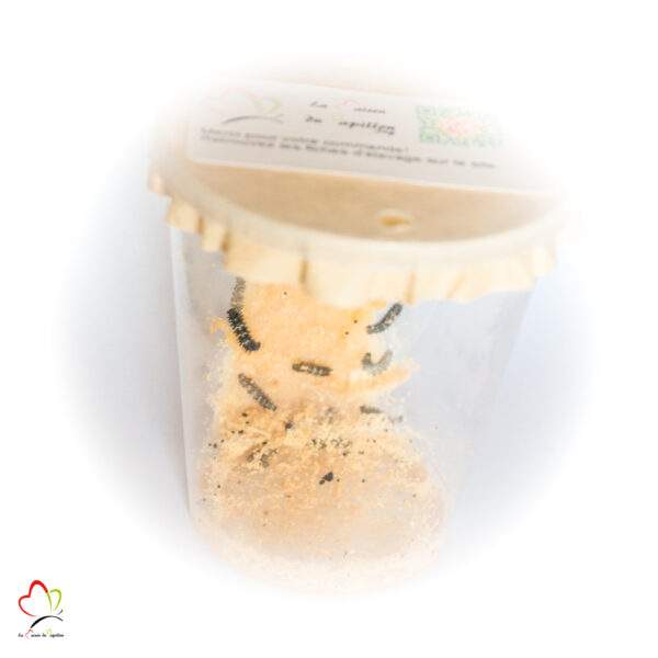 Le pot ne contient pas assez de nourriture pour l'élevage. Prévoir des orties ou de la nourriture artificielle.