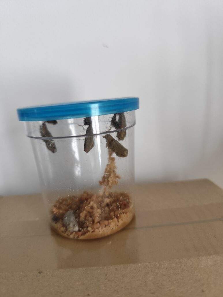 Image #1 de Dolores L.