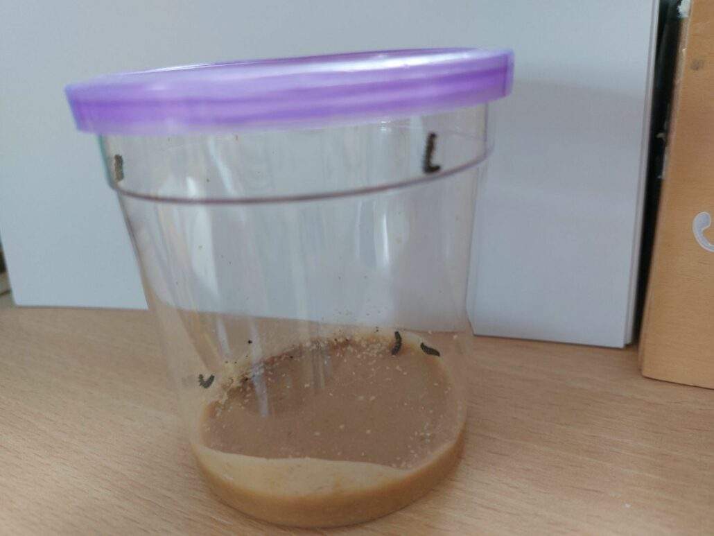 Image #1 de Séverine C.