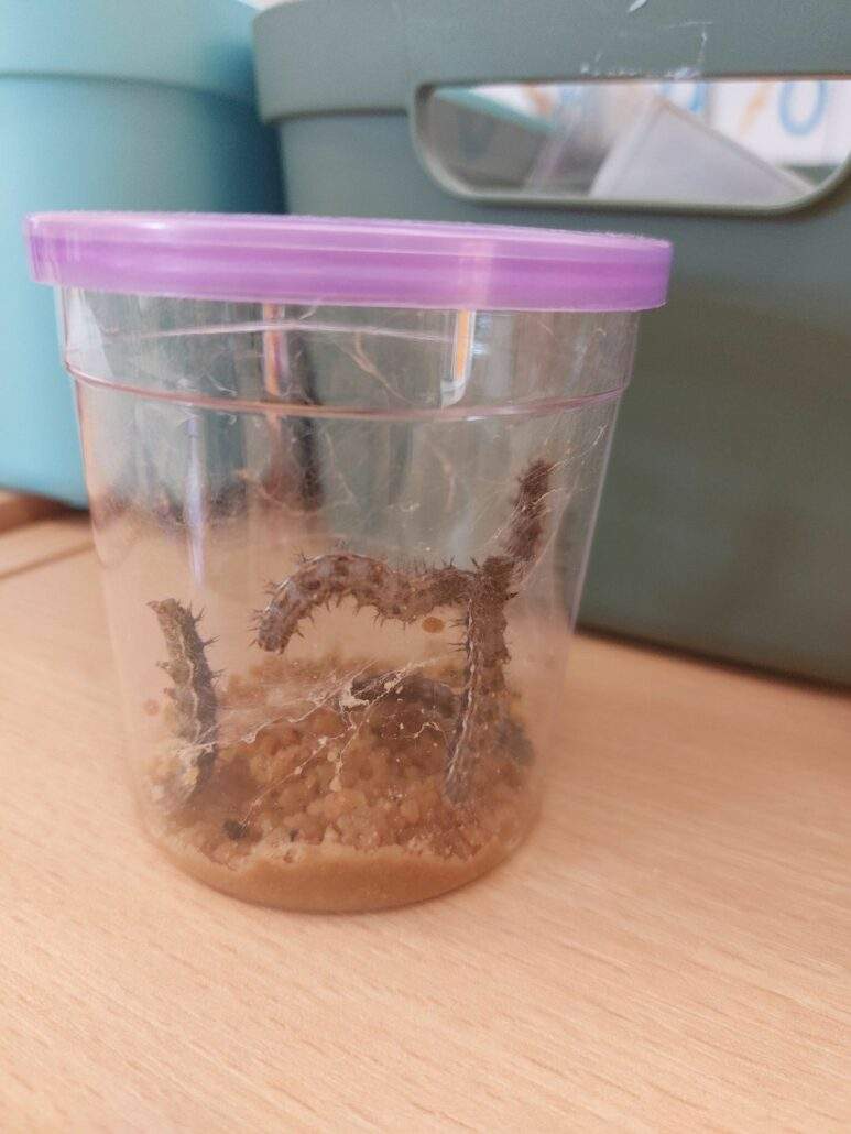 Image #2 de Séverine C.