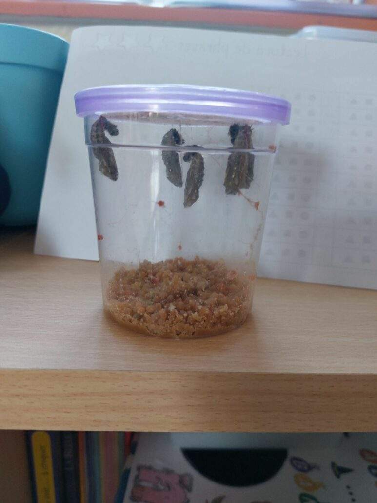 Image #3 de Séverine C.