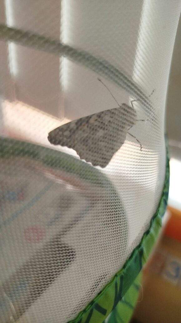 Image #4 de Séverine C.