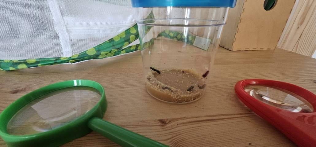 Image #5 de Maéva M.