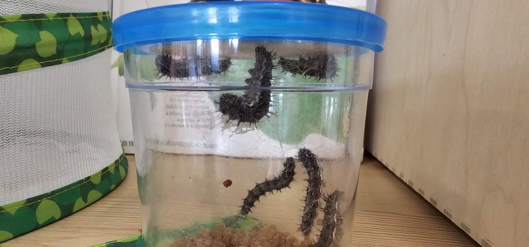 Image #4 de Maéva M.