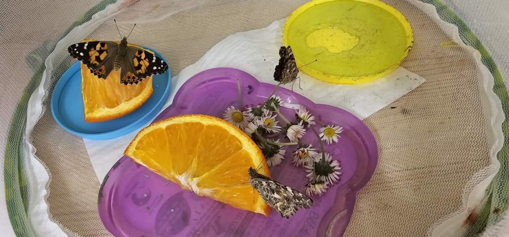 Image #2 de Maéva M.