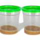 pot pour élevage papillon en classe, lot de 2